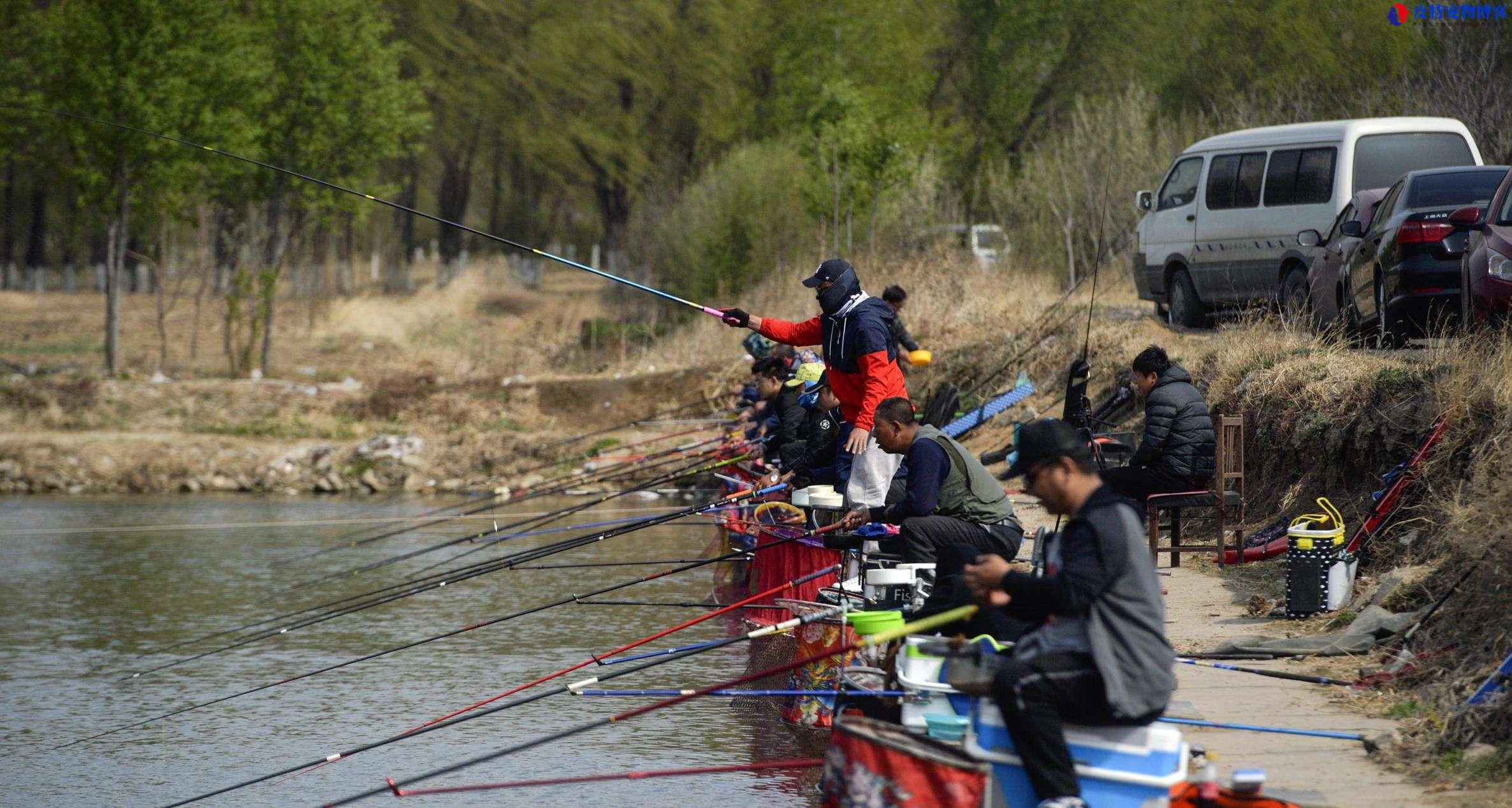 钓鱼中黑坑是什么意思，鱼塘跟黑坑有什么区别