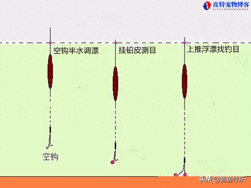 钓鱼怎么调漂和找底图解，先调漂再找底怎么调，新手最实用的调漂方法