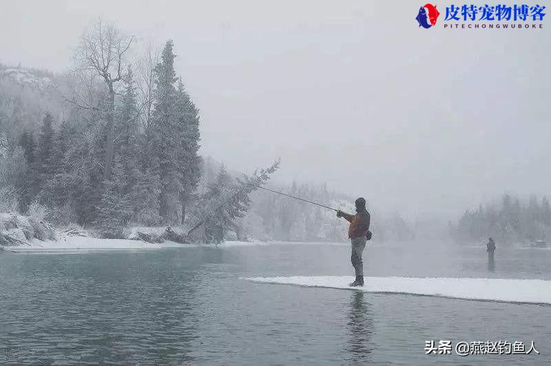 冬天钓鱼钓多深的水比较好，水深几米合适，冬季钓位及水深的选择