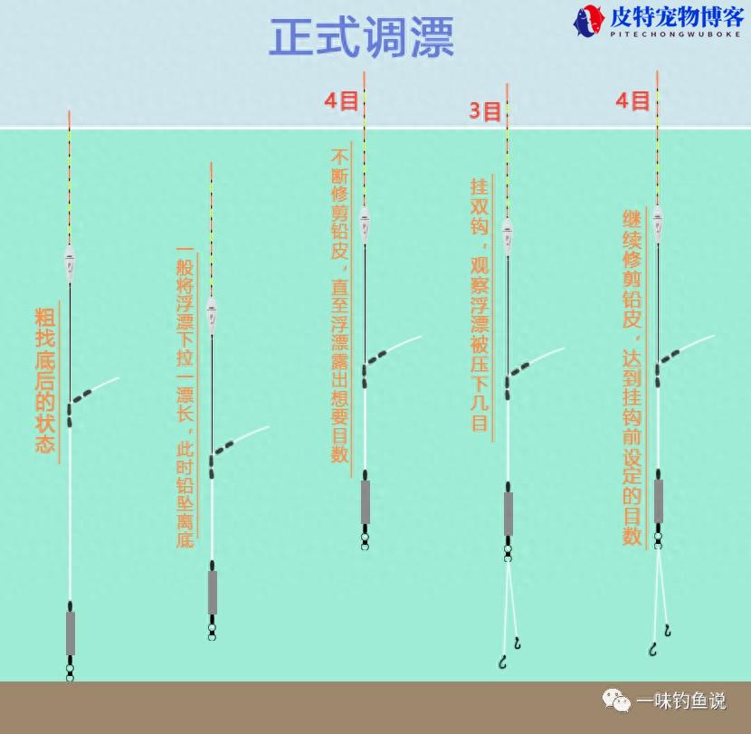 新手钓鱼入门基本功如何调漂，组装图解，新手调漂口诀大全