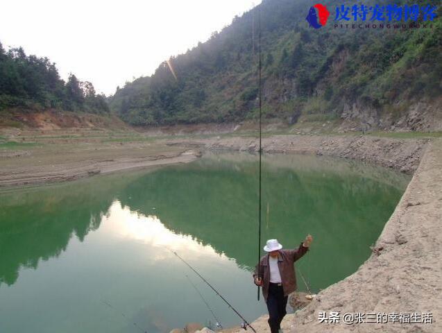 冬天水库钓鱼钓多深水合适，钓大鱼的最佳深度，水库冬钓鲫鱼最深几米