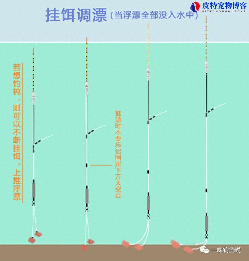 新手钓鱼入门基本功如何调漂，组装图解，新手调漂口诀大全