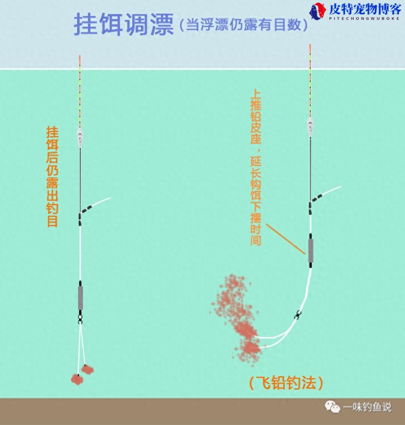 新手钓鱼入门基本功如何调漂，组装图解，新手调漂口诀大全