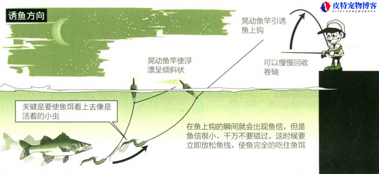 海钓鲈鱼技巧浮游矶钓，海钓鲈鱼假饵推荐，浮游矶钓鲈鱼怎么样