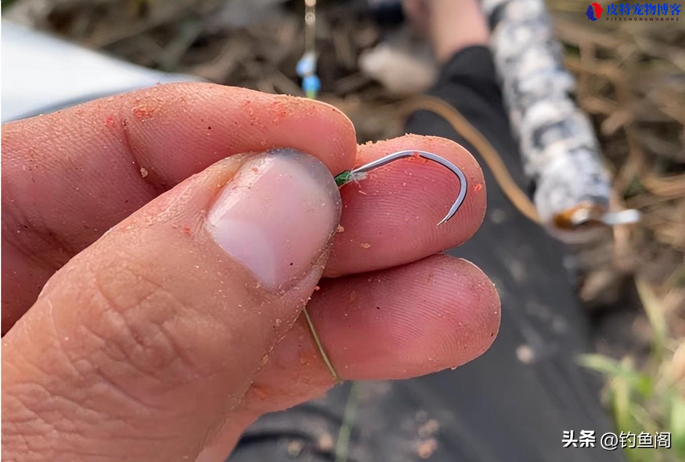 渔具垂钓用品小药怎么用，常用钓鱼小药的功能介绍，鱼药推荐