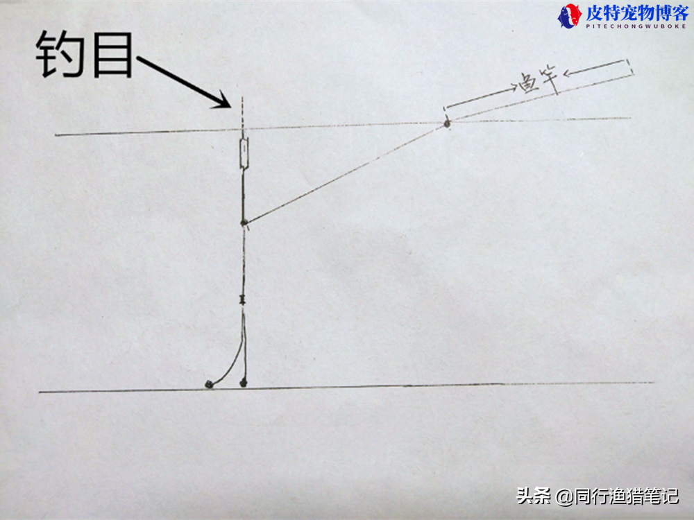 蚯蚓野钓鲫鱼调漂技巧图解，野钓鲫鱼浮漂信号，钓蚯蚓调漂方法