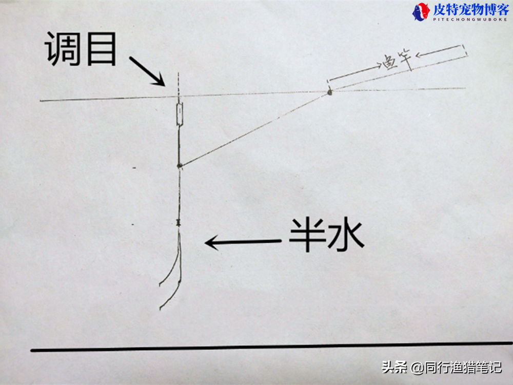 蚯蚓野钓鲫鱼调漂技巧图解，野钓鲫鱼浮漂信号，钓蚯蚓调漂方法