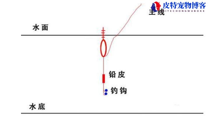 钓鱼调漂技巧图解方法，调漂原理分析，新手钓鱼调漂的正确方法