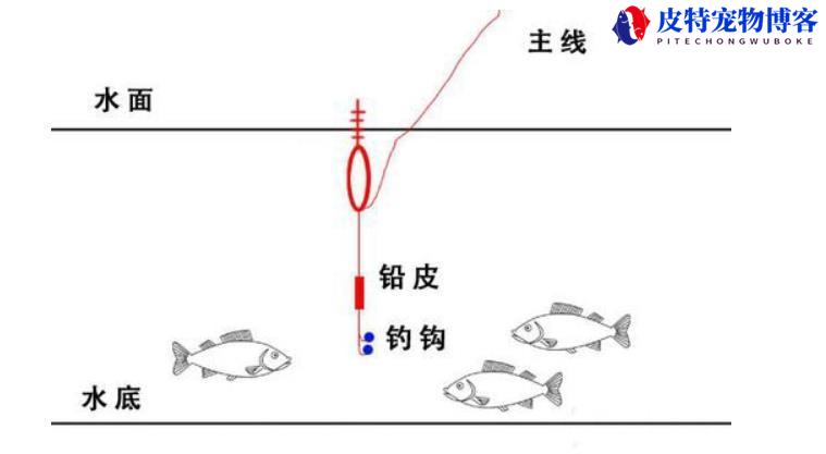 钓鱼调漂技巧图解方法，调漂原理分析，新手钓鱼调漂的正确方法