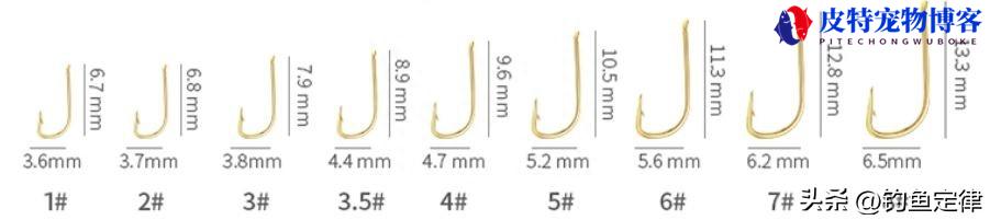 野外垂钓鲫鱼2两至4两要几号钩，怎么选鱼钩，钓鲫鱼什么鱼钩好