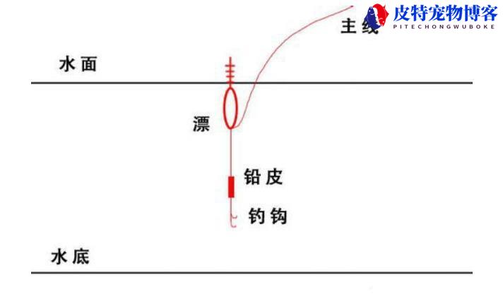 钓鱼调漂技巧图解方法，调漂原理分析，新手钓鱼调漂的正确方法