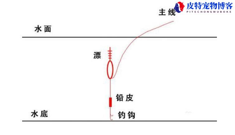 钓鱼调漂技巧图解方法，调漂原理分析，新手钓鱼调漂的正确方法