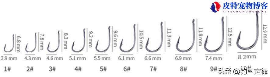 野外垂钓鲫鱼2两至4两要几号钩，怎么选鱼钩，钓鲫鱼什么鱼钩好