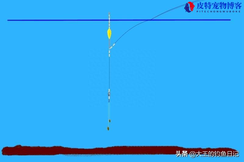 手竿浮钓鲢鳙调漂图解，浮钓鲢鳙的技巧和方法，钓鲢鳙手竿怎么调漂