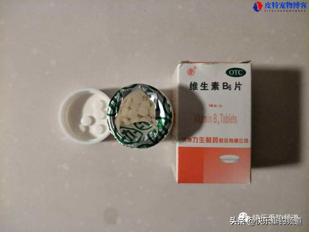 自制钓鱼窝料制作方法，自制泡酒米窝料大全