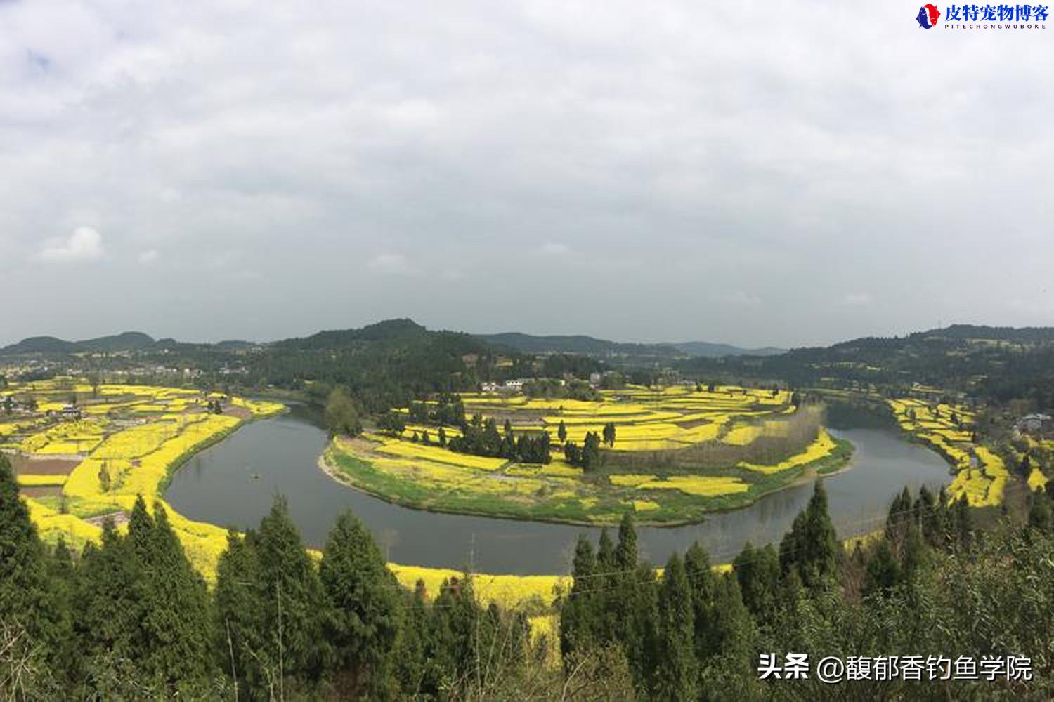 江河垂钓技巧详细解析，如何选钓位，用什么饵料，江河流水怎么钓鱼