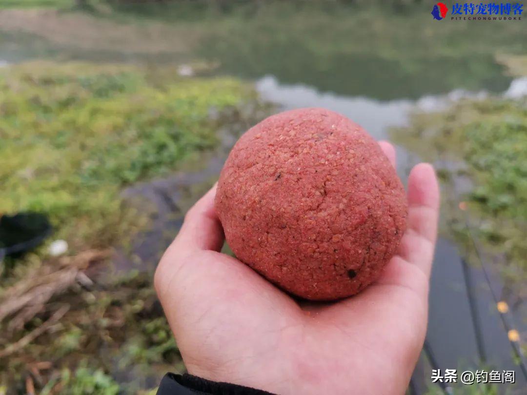 钓鲫鱼饵料配方大全简单实用，排名第一的鲫鱼饵料，自制鲫鱼饵料的做法