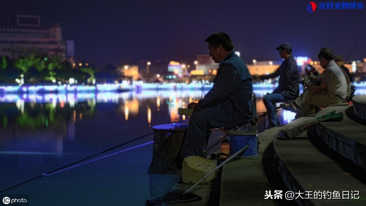 冬季夜钓野钓鲫鱼技巧及方法，冬季野钓大板鲫有什么技巧