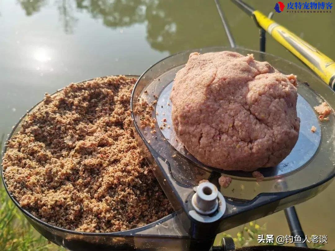 台钓入门调饵料的方法，台钓饵料搭配的最优解，新手也能钓大鱼！