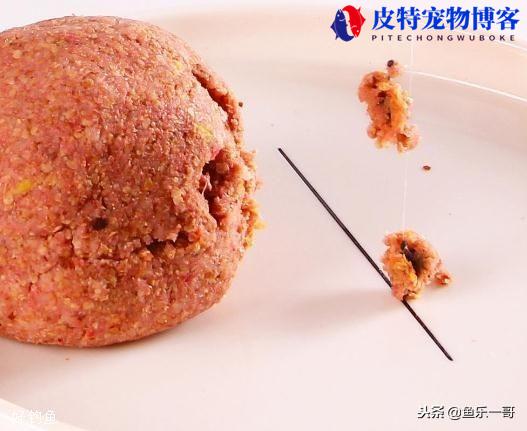 钓鱼技巧指南怎样正确挂饵料，鱼上钩怎么看?正确的挂鱼饵料方法