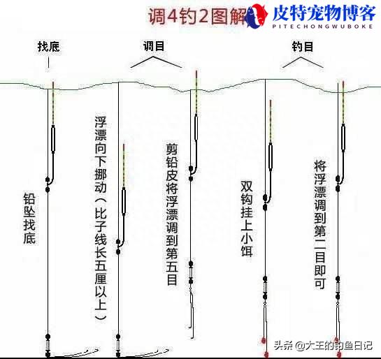 冬季夜钓野钓鲫鱼技巧及方法，冬季野钓大板鲫有什么技巧