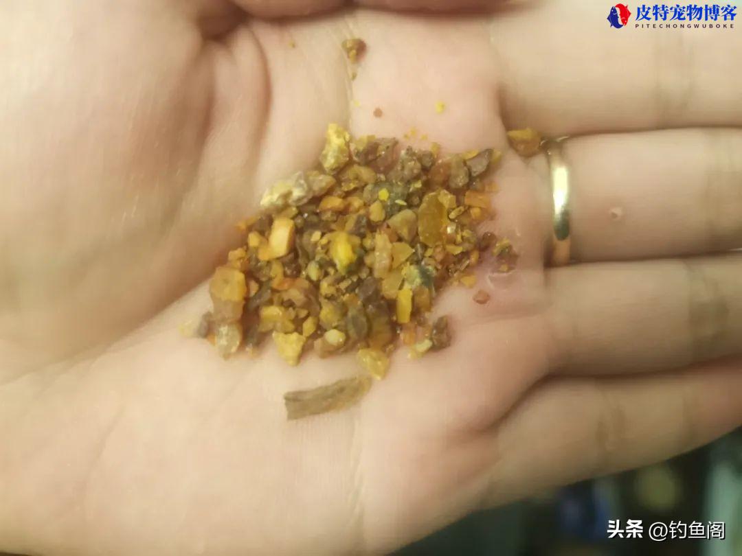 钓鱼中药药酒配方大全图解，中药酒起什么作用，怎样炮制中药药酒钓鱼