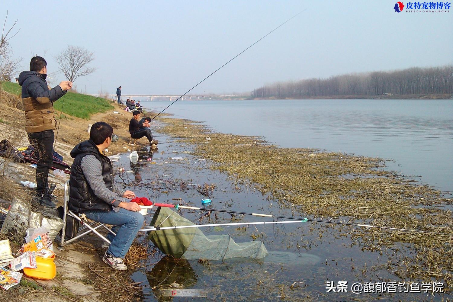 江河垂钓技巧详细解析，如何选钓位，用什么饵料，江河流水怎么钓鱼