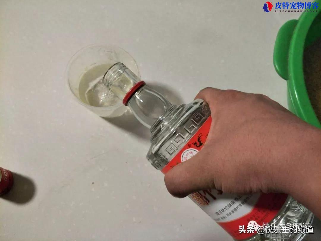 自制钓鱼窝料制作方法，自制泡酒米窝料大全