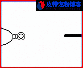 钓鱼主线与八字环绑法图解大全，钓鱼的主线与八字环的连接方法