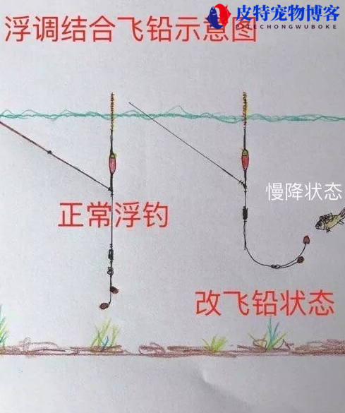 什么是飞铅钓法图解，飞铅如何抛竿，钓鱼飞铅方法图解