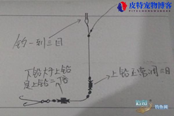 双铅跑铅钓法的正确使用方法，有什么好处，钓钝钓灵怎么调漂