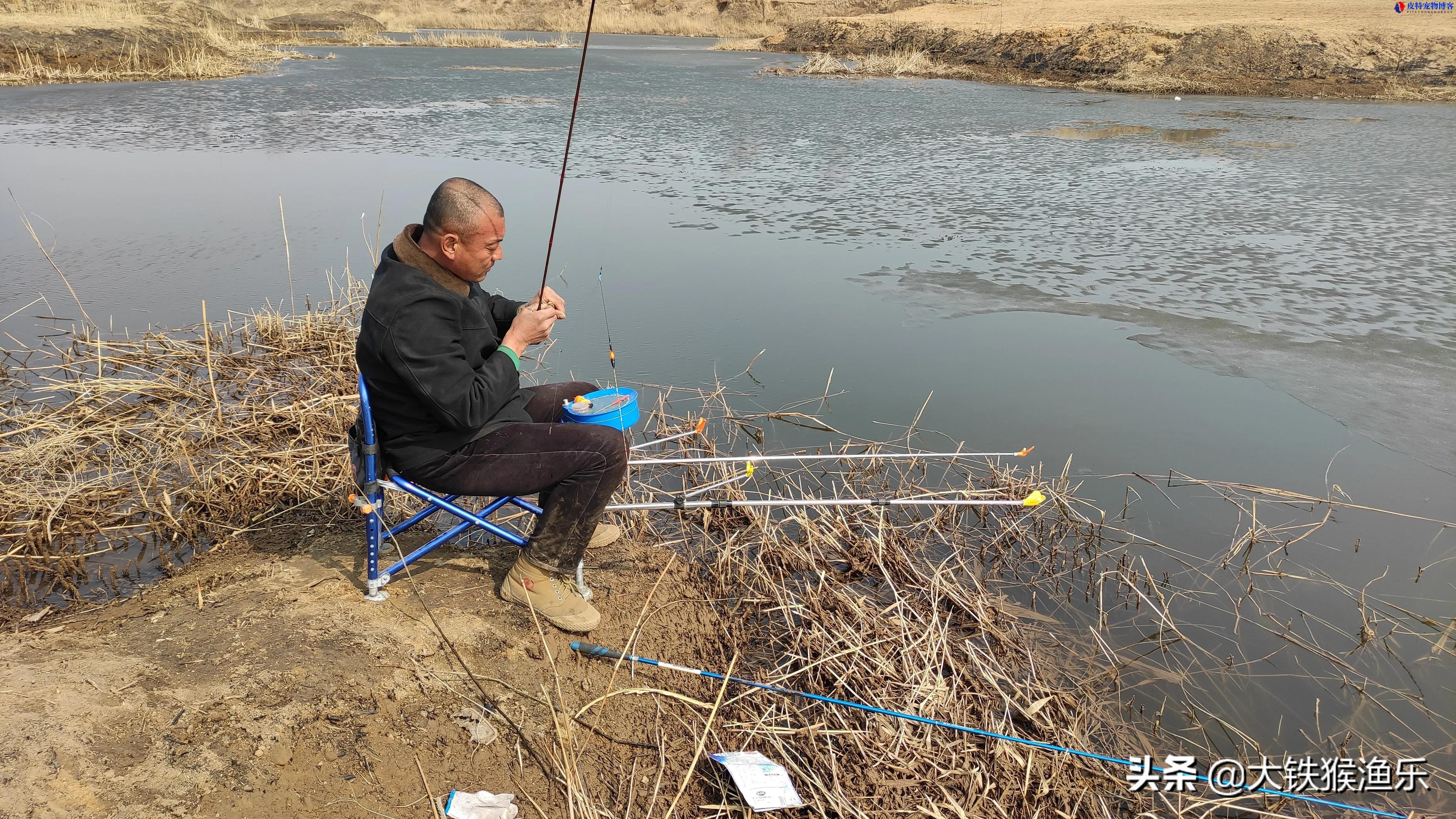 深秋初冬钓鲫鱼技巧大全，用什么打窝效果好，深秋钓大鲫鱼技巧和方法