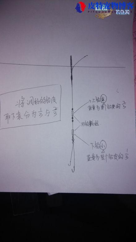 双铅跑铅钓法的正确使用方法，有什么好处，钓钝钓灵怎么调漂