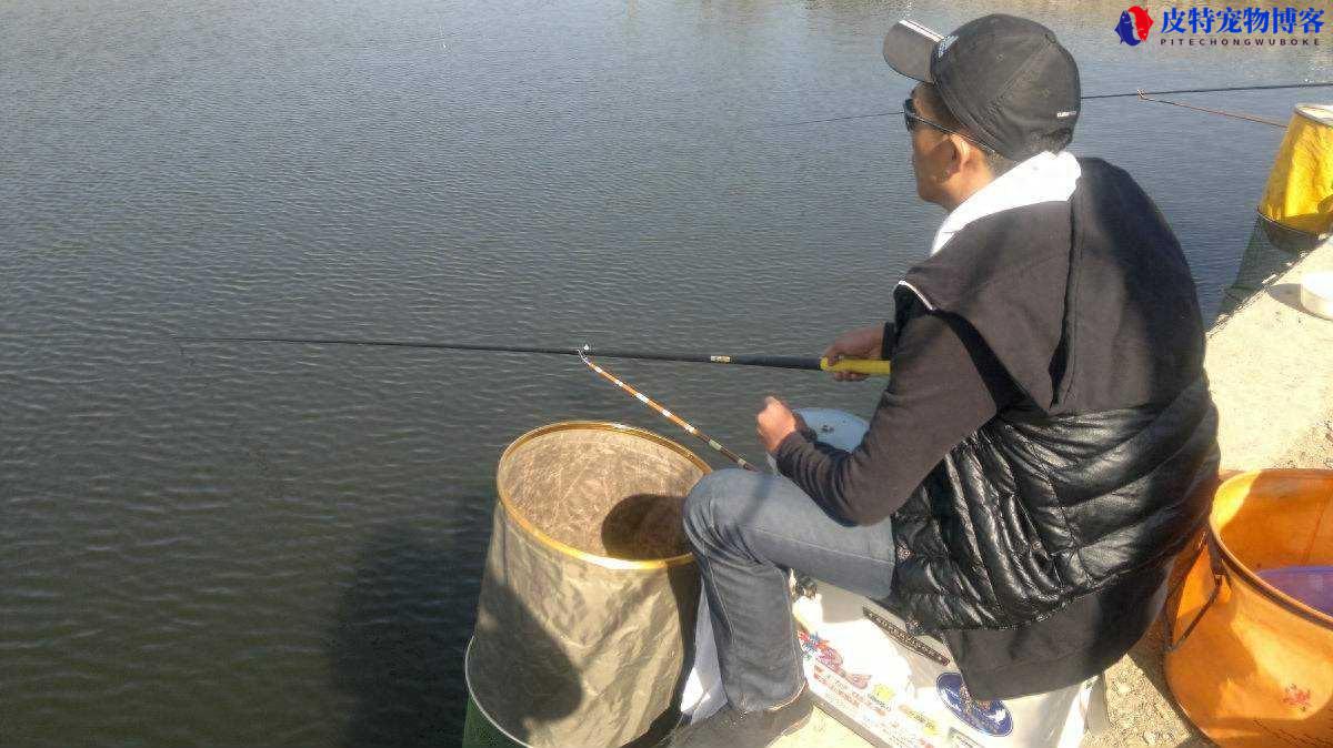 钓鱼人论坛之野钓风浪大怎么办，风大钓鱼的技巧有哪些