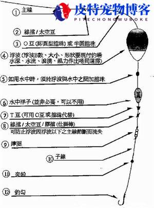 海杆钓浮线组图解，海杆浮钓怎样调漂图解法，海钓竿怎样绑鱼线