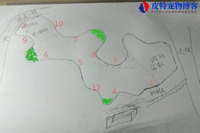 白鲢鱼怎么钓用几号鱼钩，白鲢鱼用多大的钩，鲢鳙鱼的钓法和技巧