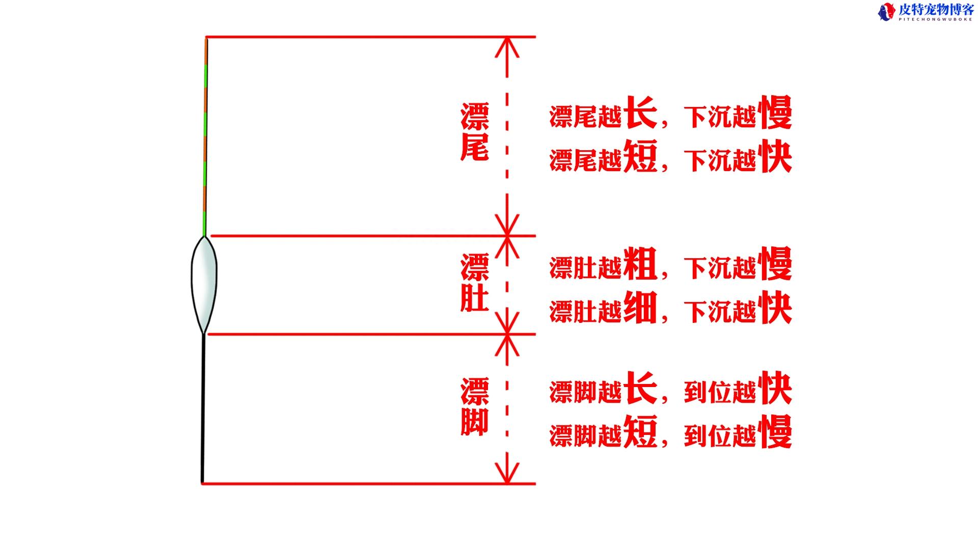 黑坑江湖地瓜钓鲤鱼，红薯钓黑坑鲤鱼怎么样，钓黑坑大物最佳调漂法