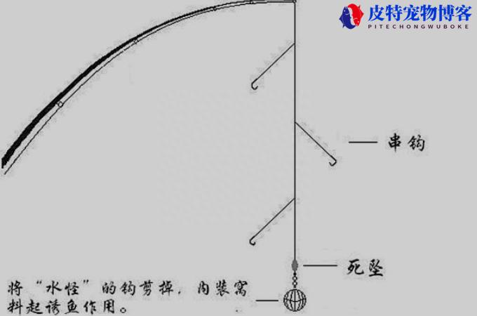 串钩钓大鲫鱼绝招小技巧简单实用，用什么饵料最好，串钩钓鲫鱼怎么钓