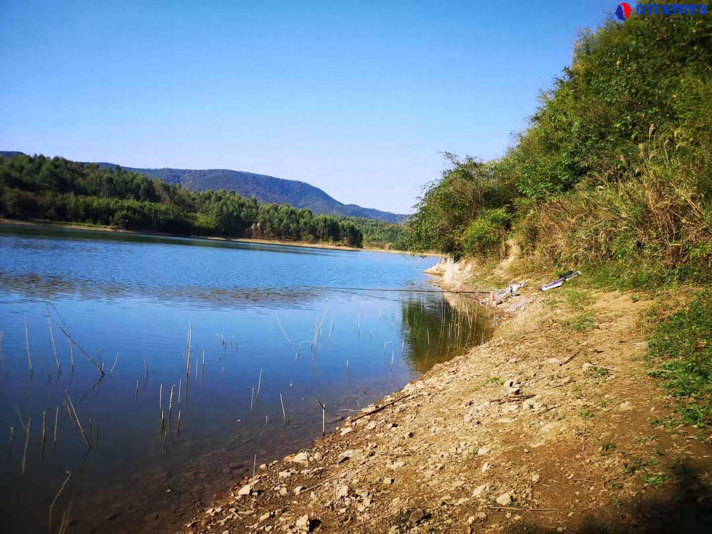 钓鱼人论坛之野钓风浪大怎么办，风大钓鱼的技巧有哪些