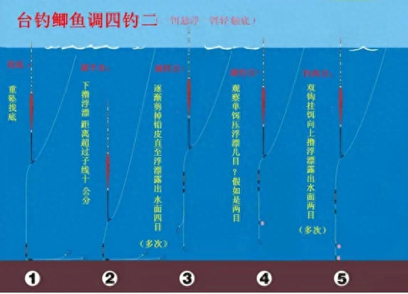 初学钓鱼调漂技巧图解，新手钓鱼入门基本知识调漂