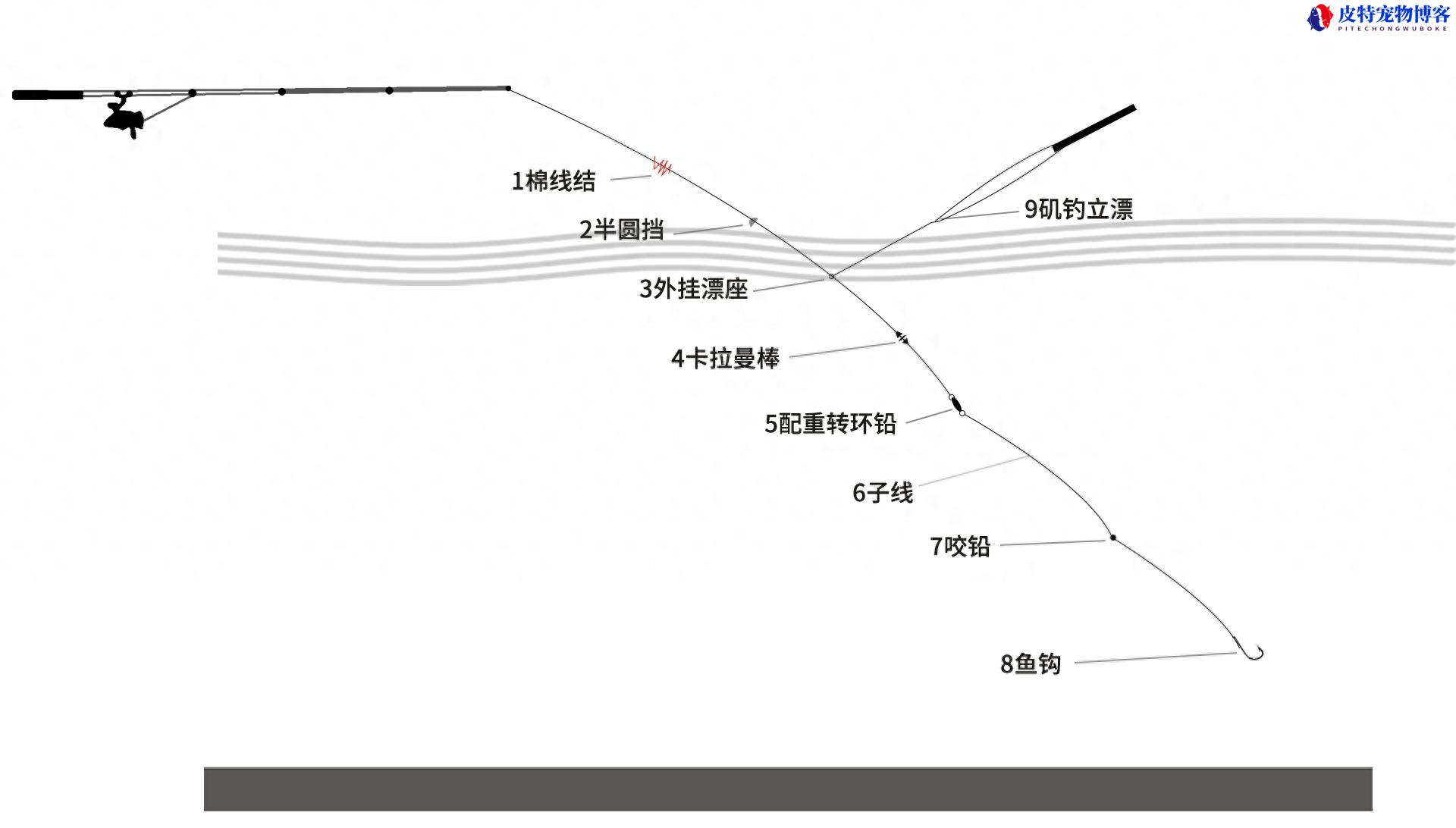 海钓矶钓竿线组图解大全，用什么线比较好，海边矶钓用什么钓组