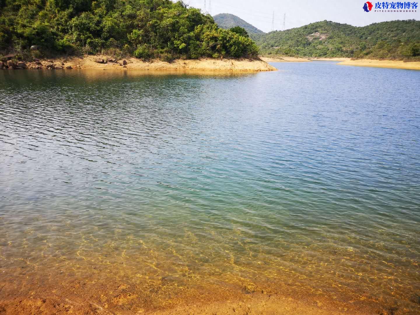 钓鱼人论坛之野钓风浪大怎么办，风大钓鱼的技巧有哪些