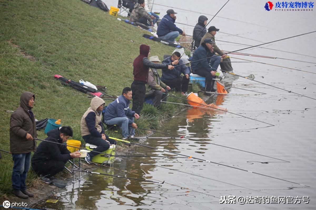 钓鱼看浮漂技巧和方法，钓鱼技巧怎么看浮漂，为什么钓鱼顶漂不顿口