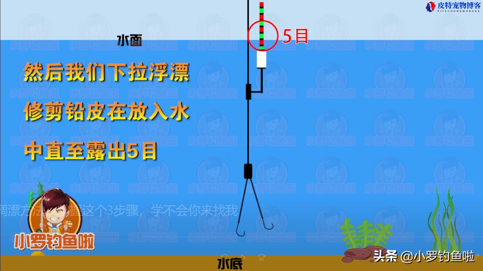 蚯蚓快速调漂方法，掌握这3个步骤，学不会你来找我