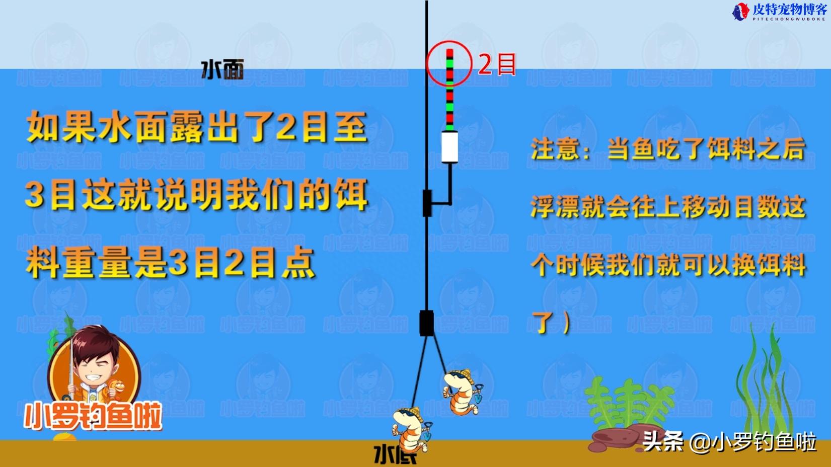 蚯蚓快速调漂方法，掌握这3个步骤，学不会你来找我