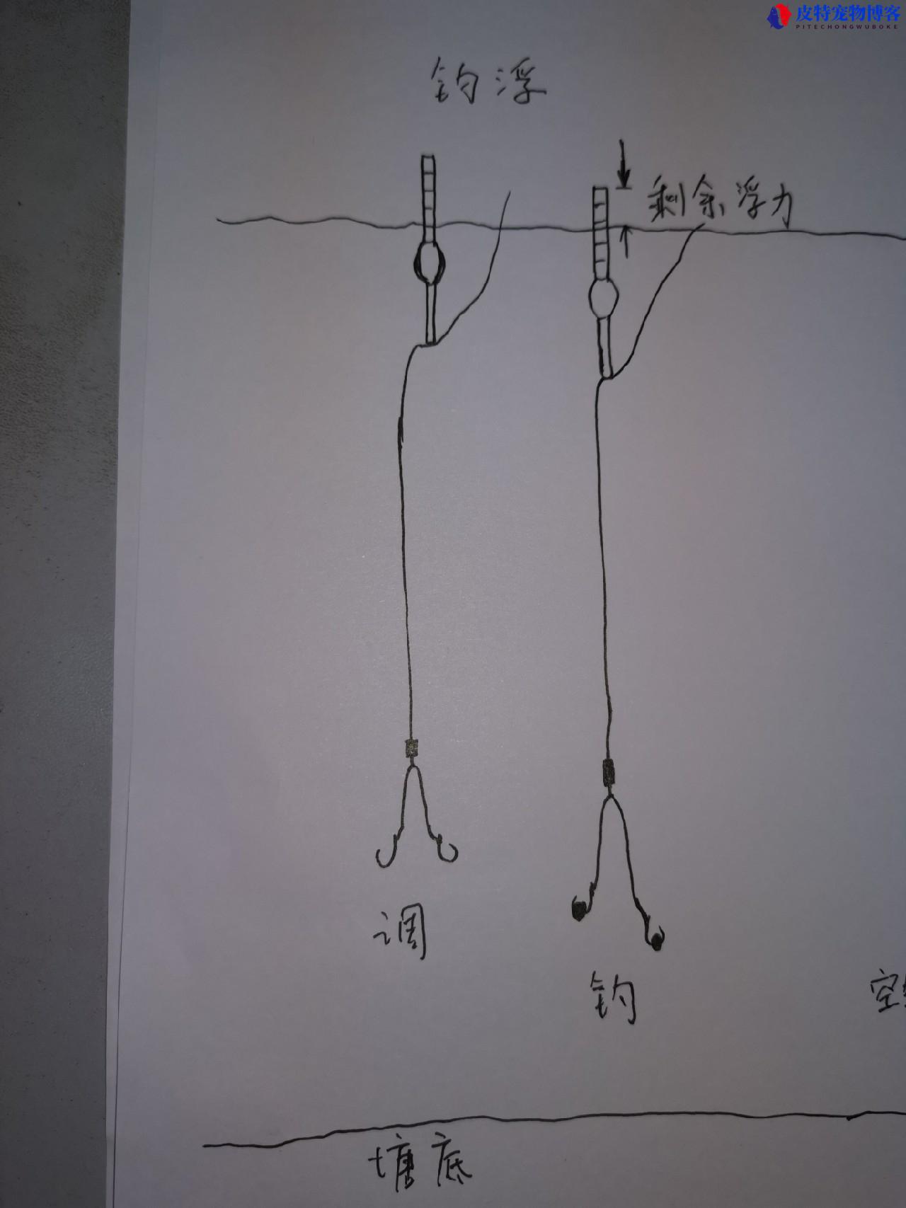 手竿钓鱼调漂技巧及钓法，调漂有几种方法，手竿钓鱼传统钓怎么调漂