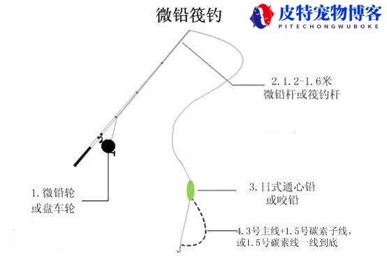 微铅钓法怎么防绕线，微铅钓法是什么，怎么搜索鱼层