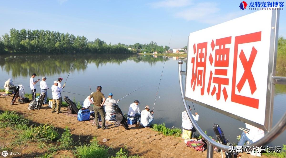 怎样钓鱼调漂最快最好，钓鱼怎么样调漂最准确，新手钓鱼入门基本功调漂