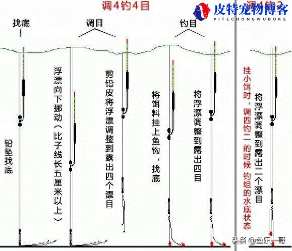 钓鱼调钓鱼调漂技巧图解方法，钓鱼调漂全过程详细图解