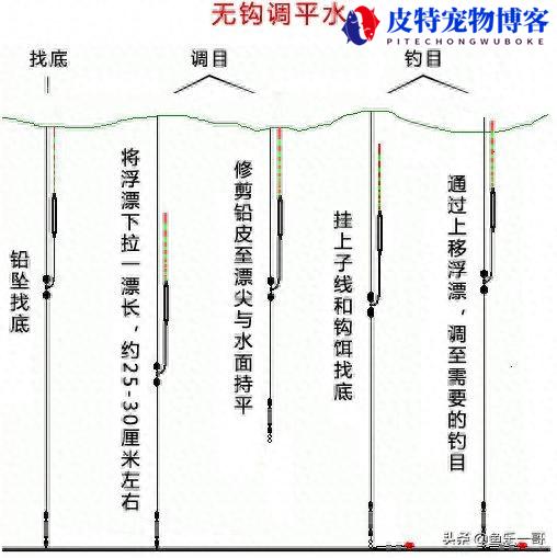 钓鱼调钓鱼调漂技巧图解方法，钓鱼调漂全过程详细图解